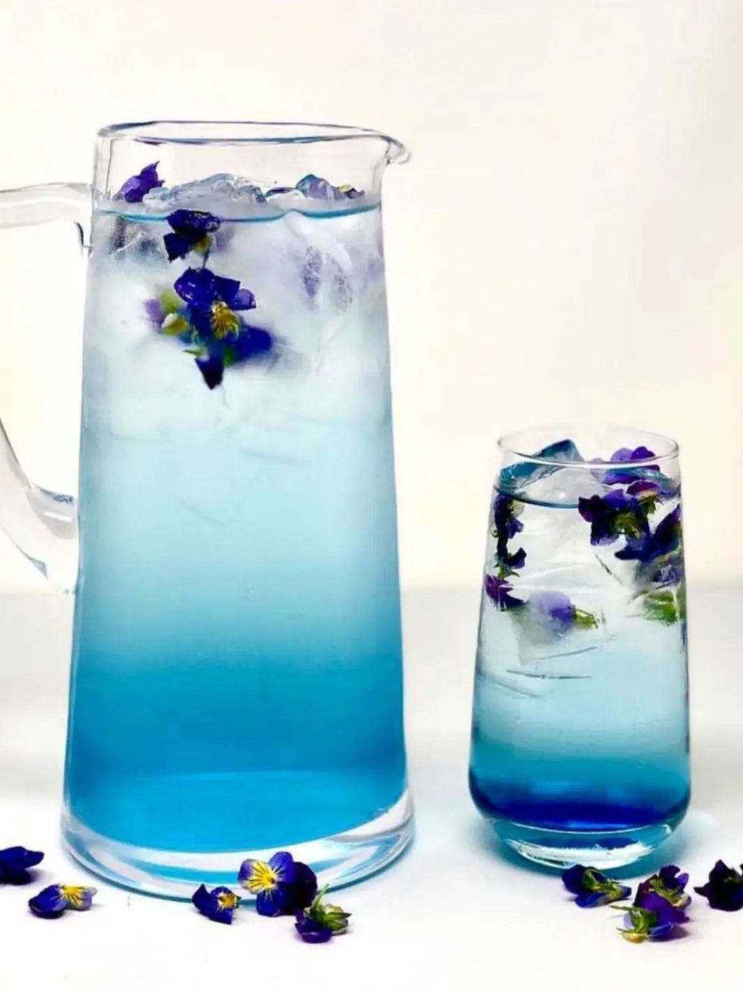 Soda fleur de pois bleu papillon bio